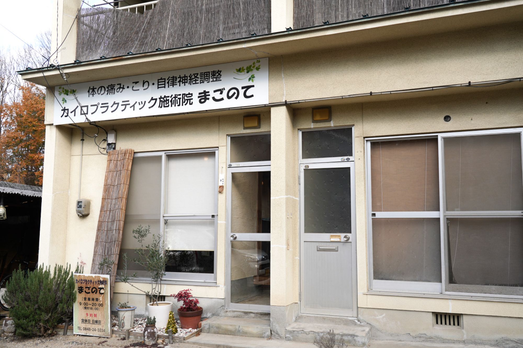 ニュース